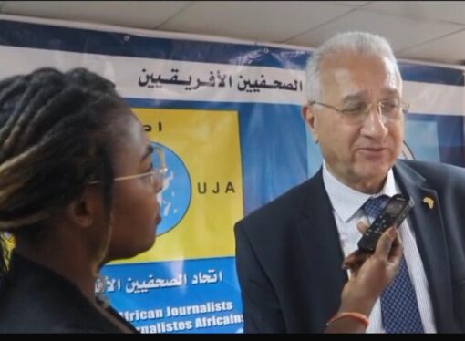 Des jeunes journalistes africains formés au Caire.