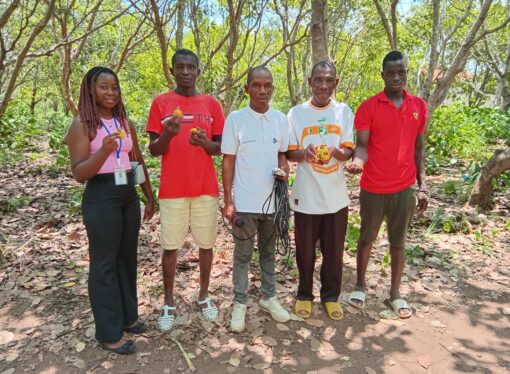 Bouaké: La campagne 2025  de noix de cajou ne reflète pas la réalité du terrain