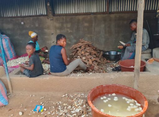 Bondoukou: des jeunes entrepreneurs portent une unité de transformation de manioc