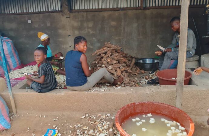 Bondoukou: des jeunes entrepreneurs portent une unité de transformation de manioc