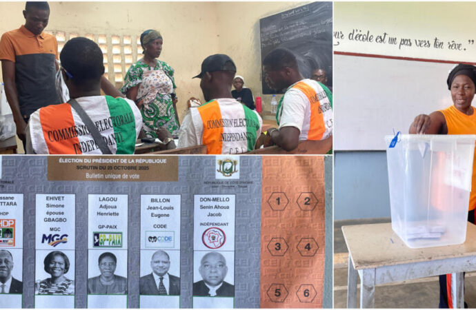 Interview:  Les motivations des nombreuses candidatures de jeunes aux législatives 2025