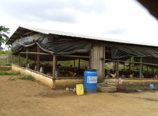 Insertion Professionnelle: les jeunes de Hiré bénéficient d’un vaste programme de formation dans plusieurs secteurs