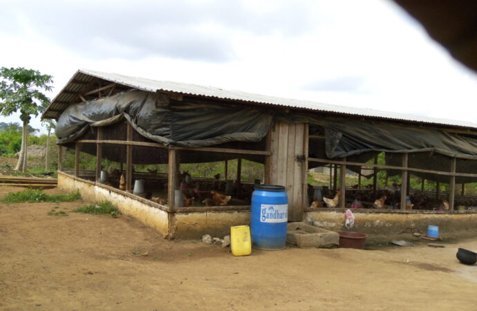 Insertion Professionnelle: les jeunes de Hiré bénéficient d’un vaste programme de formation dans plusieurs secteurs