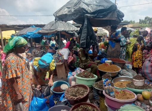 Agboville: le commerce des médicaments traditionnels connait un essor fulgurant