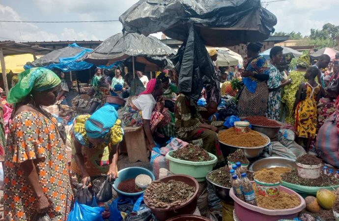 Agboville: le commerce des médicaments traditionnels connait un essor fulgurant