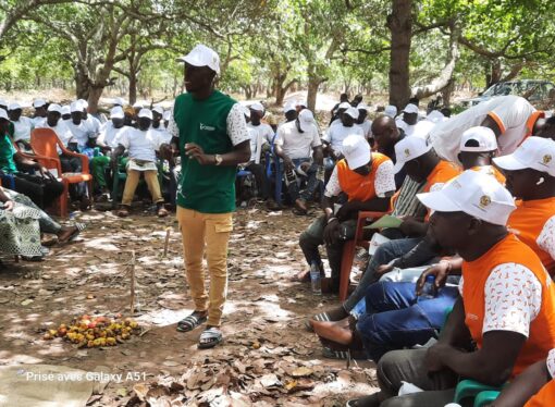 Bondoukou: Sensibilisation des acteurs de la filière anacarde sur l’amélioration et la préservation de la qualité des noix brutes de cajou